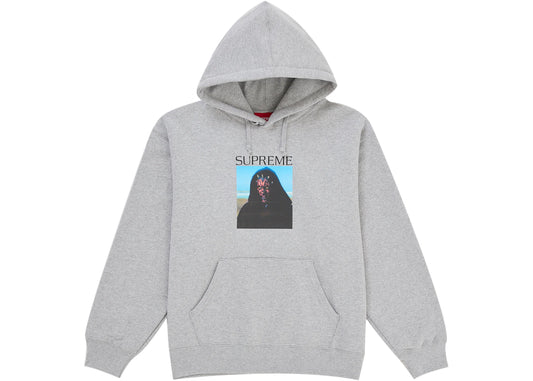 Supreme Sith Hooded Sweatshirt Heather Grey